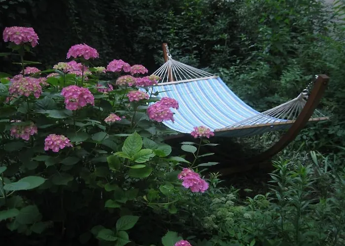 Your Sunny, And Quiet With Garden